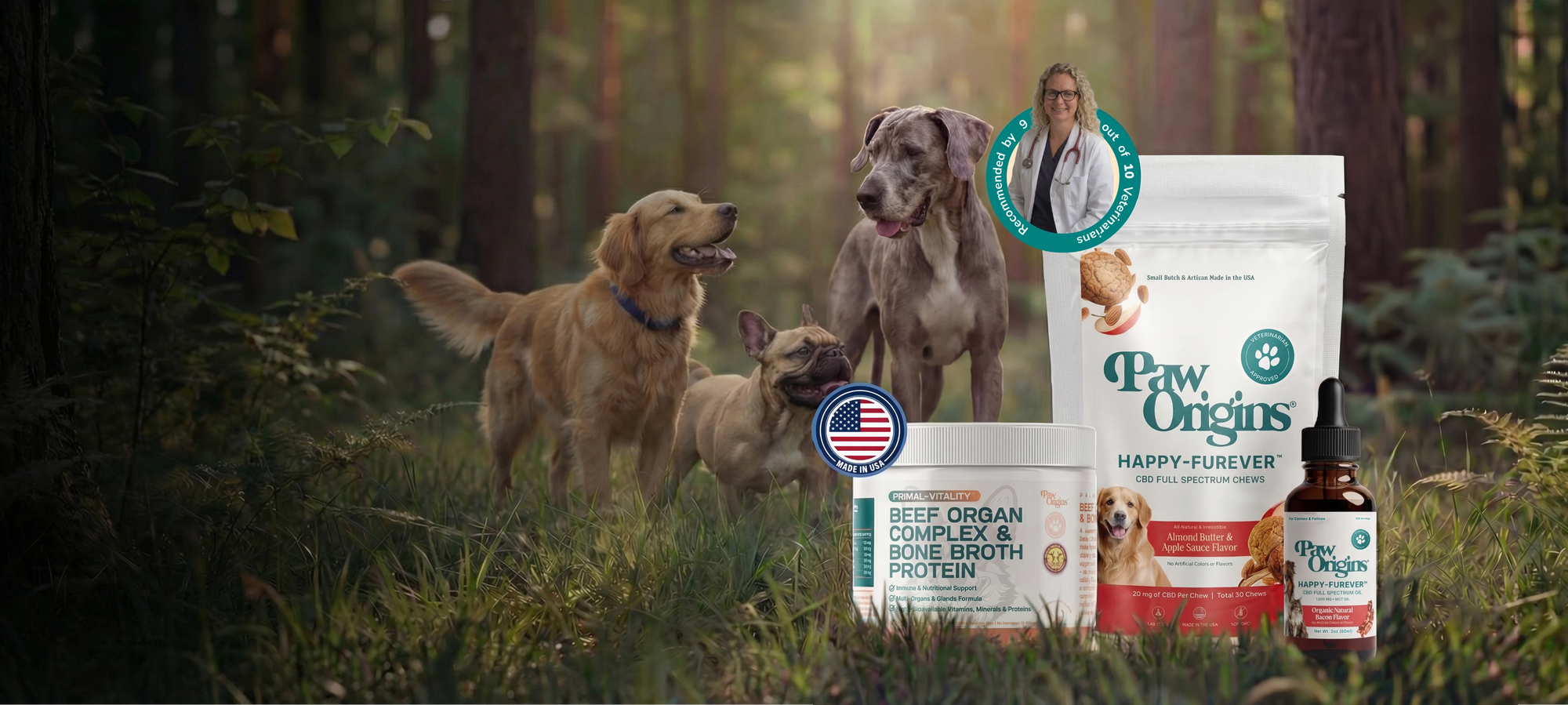 Three happy dogs stand in a sunlit forest clearing behind Paw Origins pet supplements, including beef organ complex powder, Happy-Furever chews, and a bottle of liquid supplement. Packaging features a veterinarians photo and American flag.