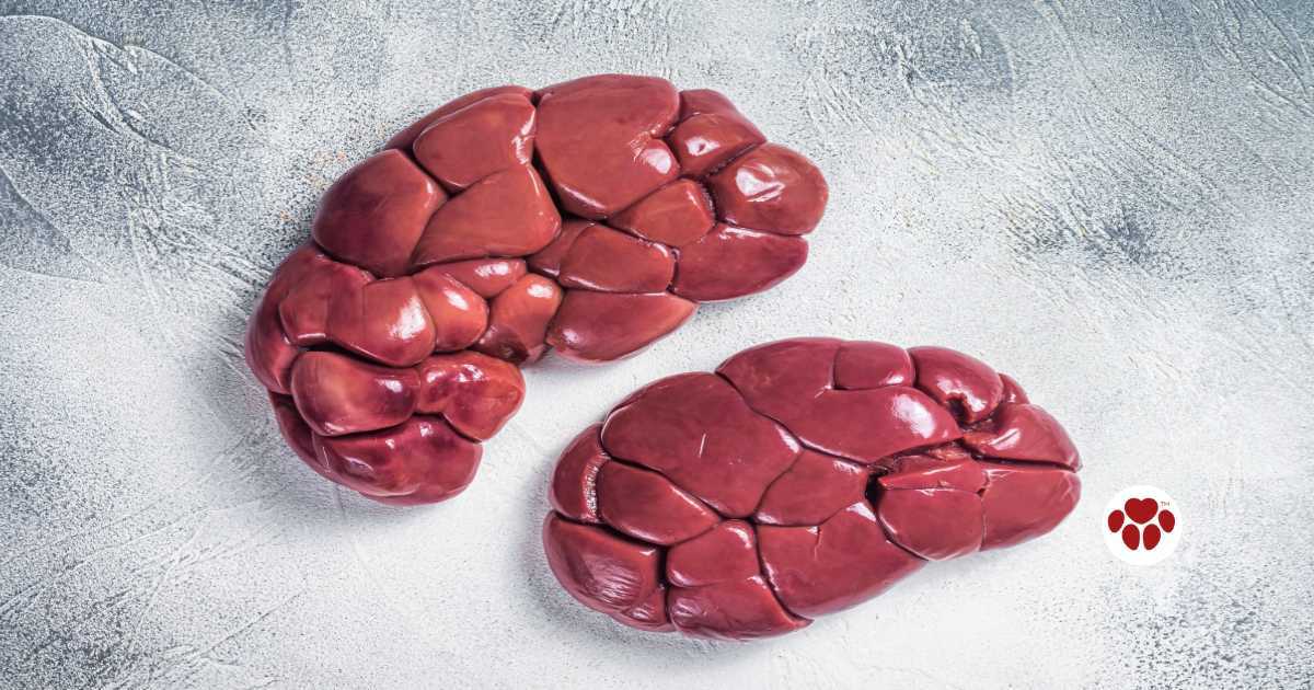 Grass-fed beef kidney for dogs to eat