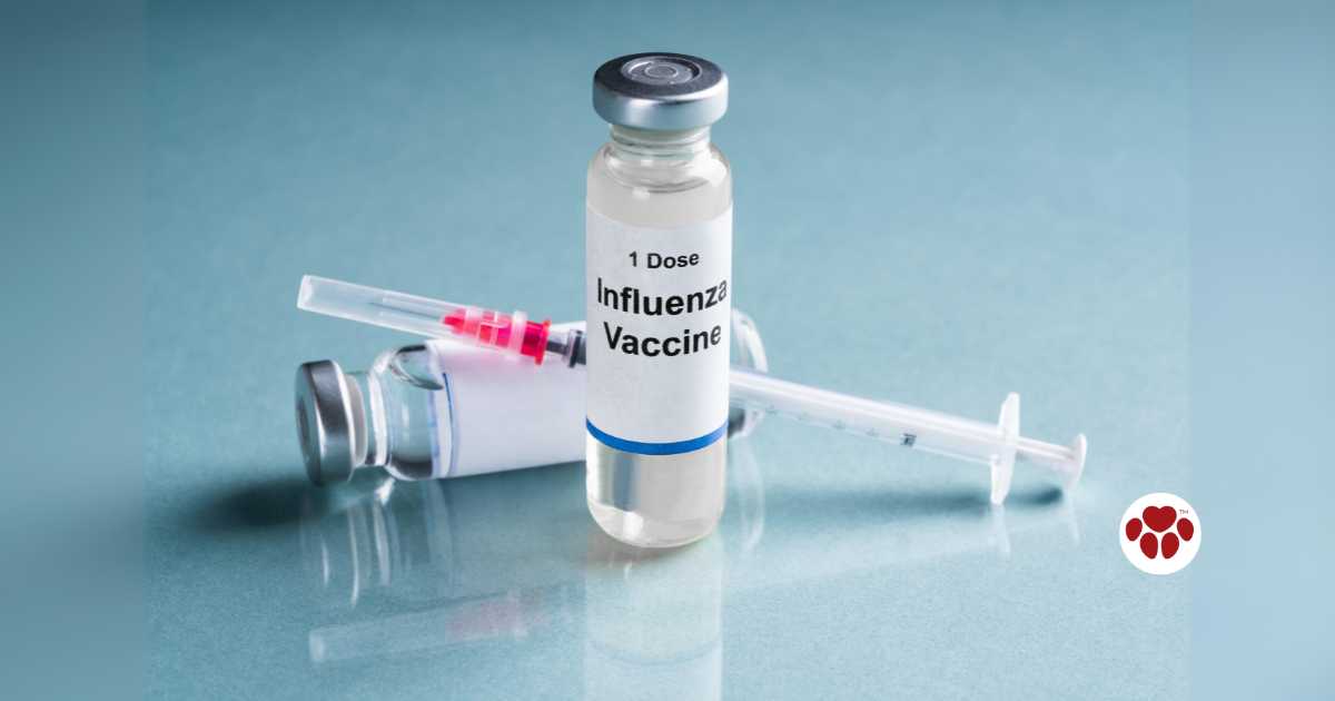 Canine Influenza Vaccine 