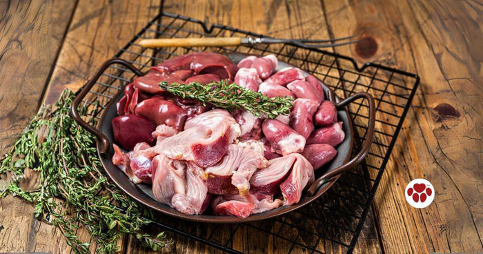 Organ meats are beneficial for dogs