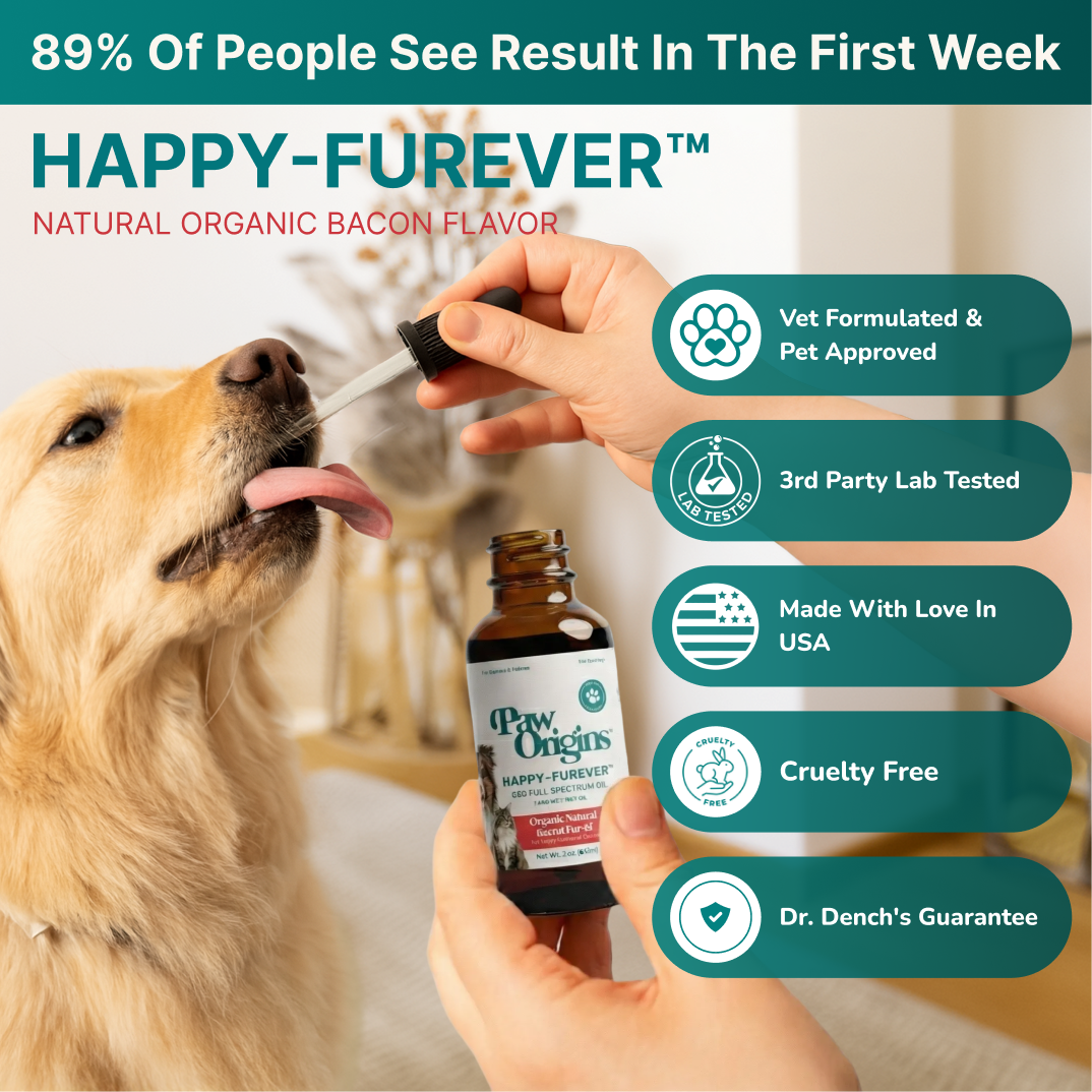 A person gives a golden retriever Full-Spectrum (1,000mg) Happy-Furever® CBD Oil with a dropper. The bottle highlights joint mobility support, full-spectrum hemp oil, vet-formulated, cruelty free, and made in the USA.