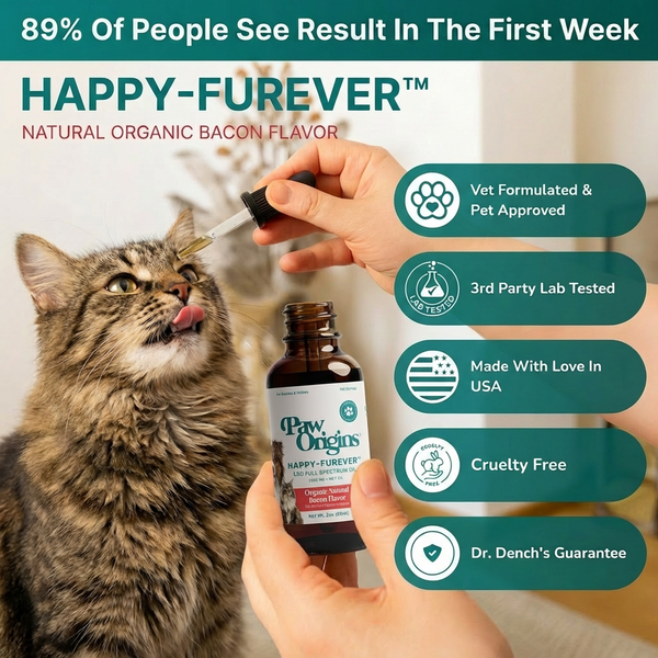 Full-Spectrum (1,000mg) Happy-Furever® CBD Oil - For Cats